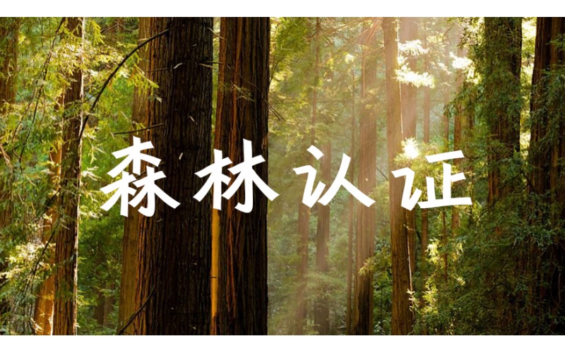 cq9电子平台网站关于开展森林联合认证的公开承诺